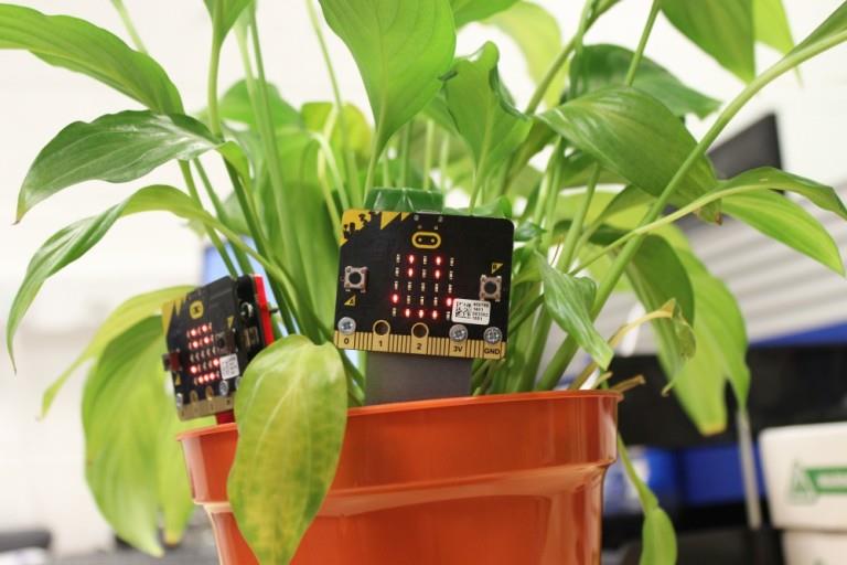 micro:bit